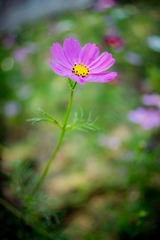 DSC04154.jpg