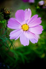 DSC04159.jpg