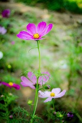 DSC04168.jpg
