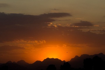 DSC04955.jpg