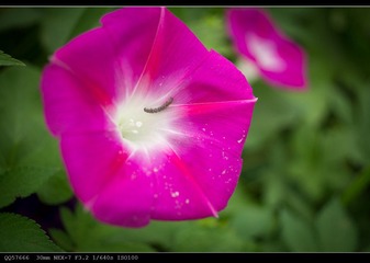 nEO_IMG_DSC05492.jpg