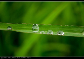 nEO_IMG_DSC05520.jpg