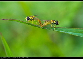 nEO_IMG_DSC05561.jpg