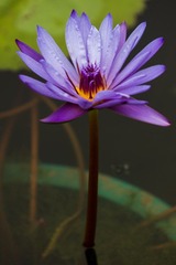 DSC09666.jpg