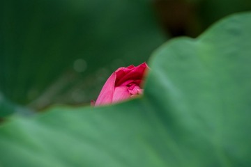DSC09754.jpg