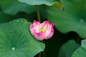 DSC09820.jpg