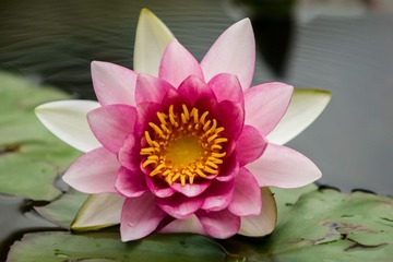 DSC09457.jpg
