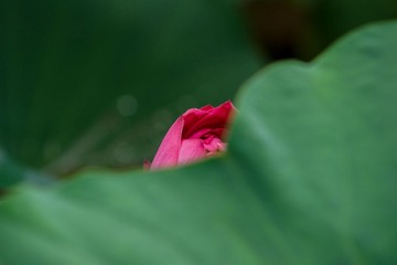 DSC09755.jpg