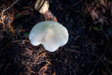 DSC06960.jpg
