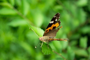 DSC07014.jpg