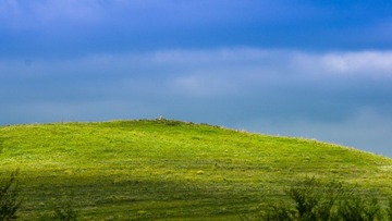 DSC00707.jpg