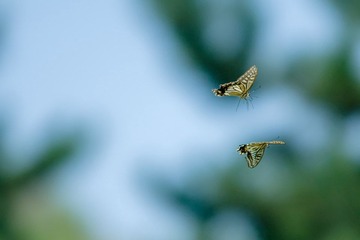 DSC01212.jpg