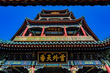 QIN02836