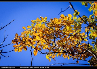 nEO_IMG_DSC00817.jpg