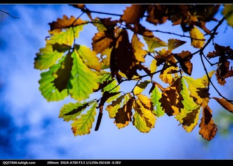 nEO_IMG_DSC00842.jpg