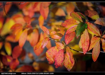 nEO_IMG_DSC00859.jpg