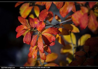 nEO_IMG_DSC00861.jpg