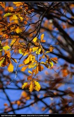 nEO_IMG_DSC00987.jpg