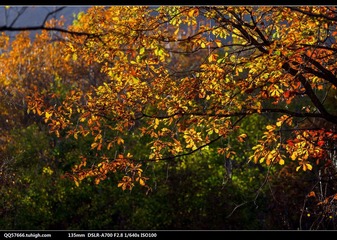 nEO_IMG_DSC00990.jpg