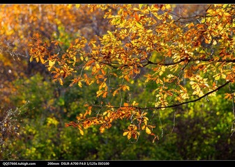 nEO_IMG_DSC00991.jpg