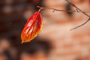 DSC01071.jpg