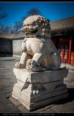 DSC00471_nEO_IMG.jpg