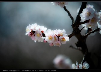 nEO_IMG_DSC01120.jpg