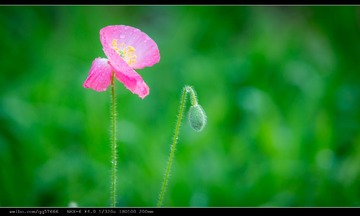 nEO_IMG_DSC02499.jpg