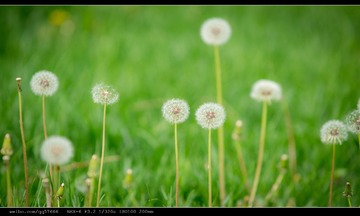 nEO_IMG_DSC02519.jpg