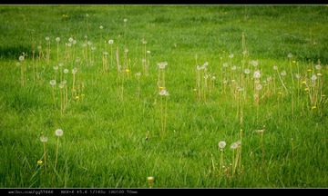 nEO_IMG_DSC02536.jpg