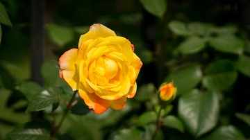 DSC02708.jpg