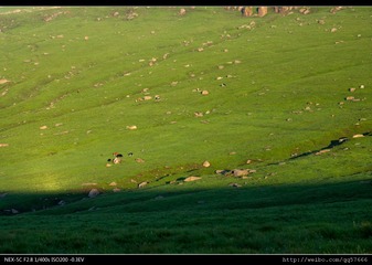 nEO_IMG_DSC00557.jpg