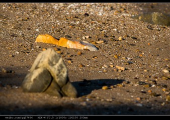 nEO_IMG_DSC04328.jpg