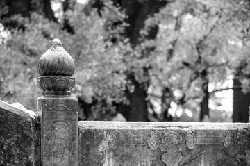DSC01623-2