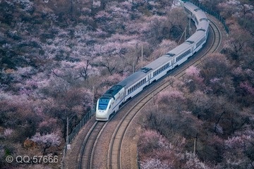 929098