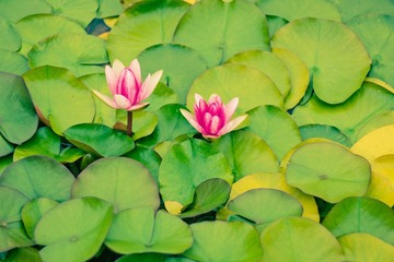 20110709-DSC01590