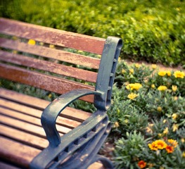 20110524-DSC00827