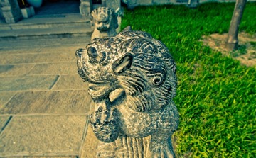 IMGP1005-1.jpg