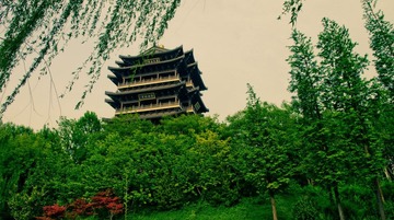 IMGP1018-1.jpg