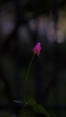 1215030