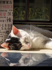 3F55658F-5B35-494E-98FB-A1A8A910CB25/L0/001