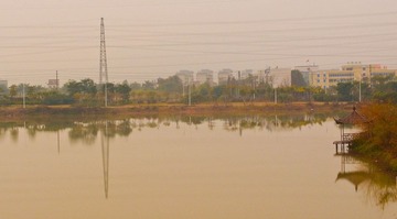 P2053833.jpg