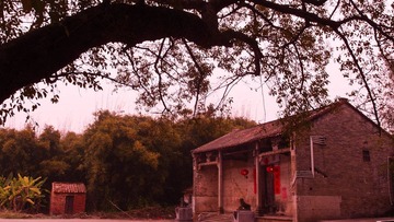 P2053852.jpg