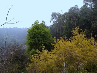 P3183959.JPG