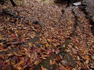P3183999.JPG