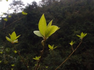 P3184004.JPG