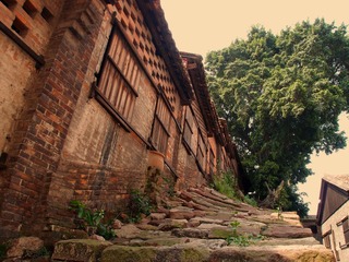 P3244599.jpg