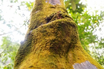 PA147757.jpg