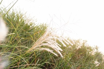PA137619.jpg