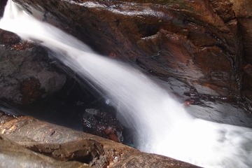 PA147720.jpg